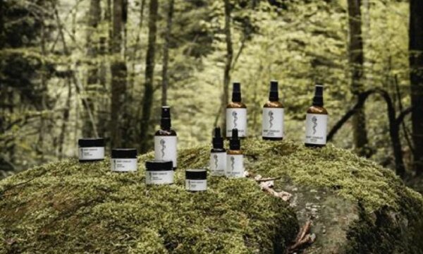 Rechteck 46 Rechteck 46