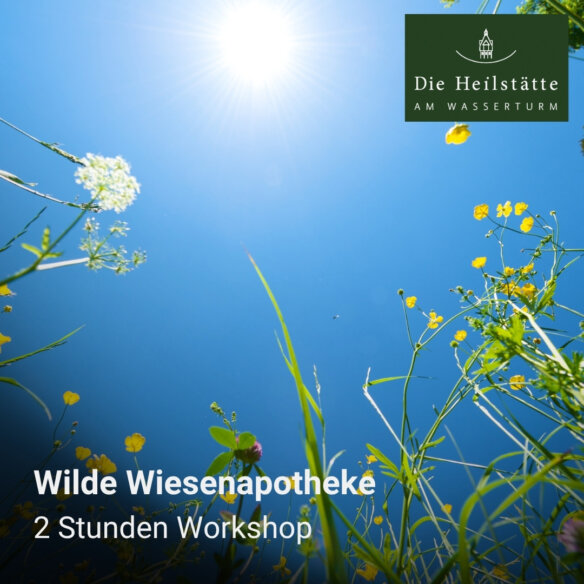 Wilde Wiesenapotheke - www.dieheilstaette.de