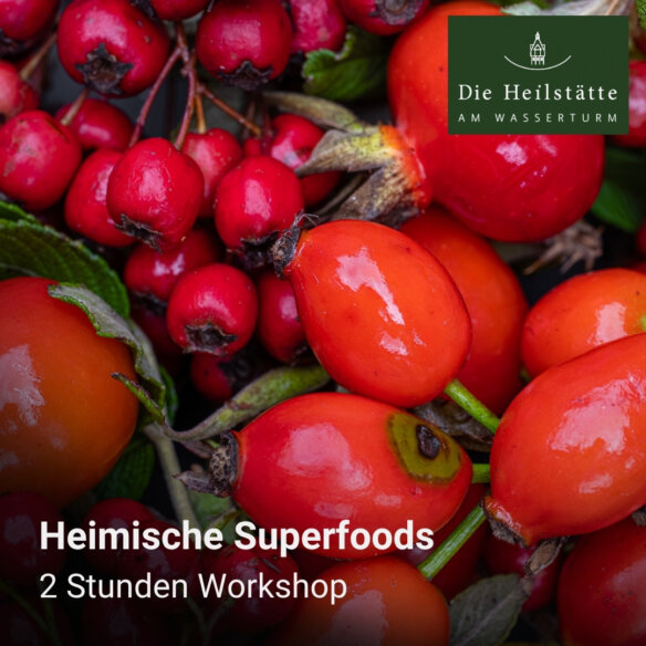 Heimische Superfoods - www.dieheilstaette.de Heimische Superfoods - www.dieheilstaette.de