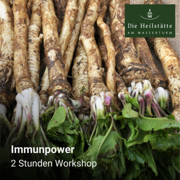 Immunpower - www.dieheilstaette.de Immunpower - www.dieheilstaette.de